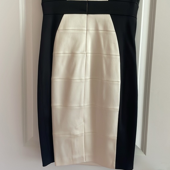 Beautiful Cache Dress, worn once and dry cleaned, silhouette detail! Beautiful - Picture 4 of 6